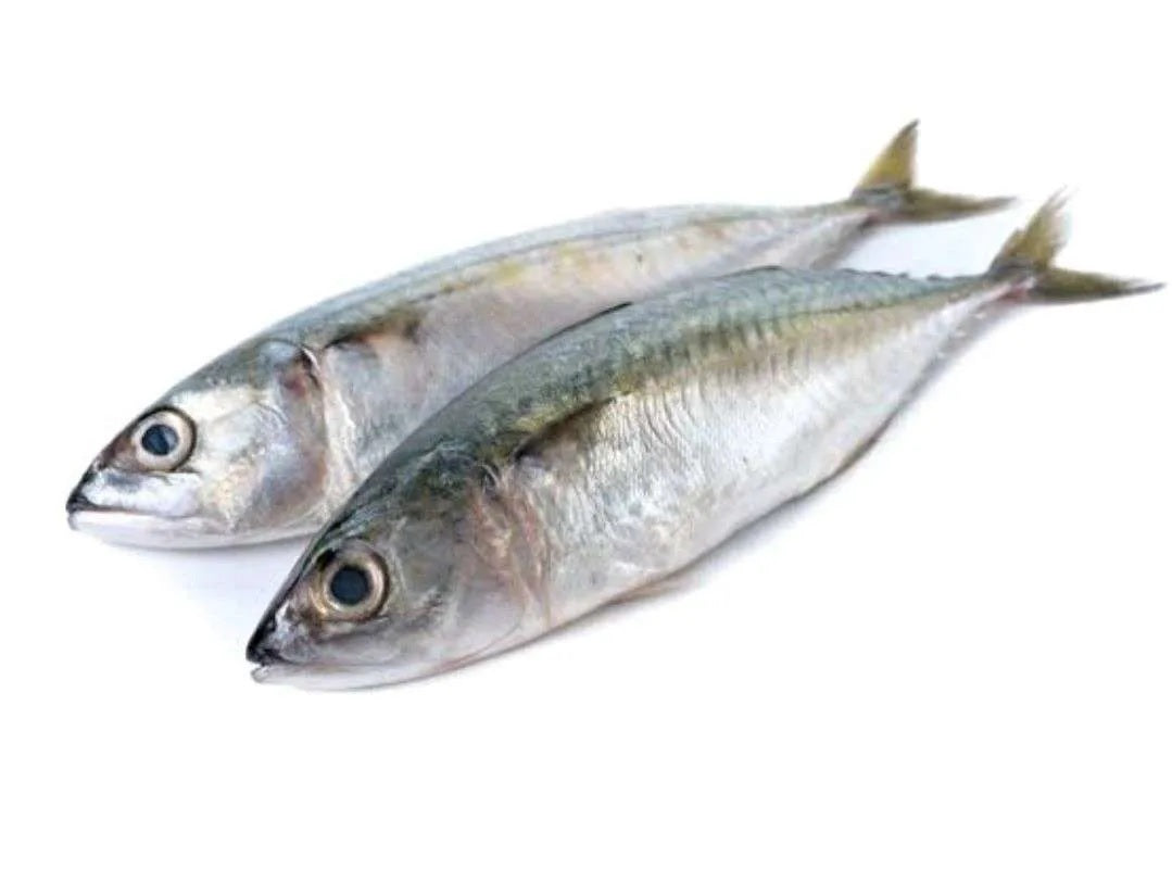Ikan Kembung Banjar 1kg (Glazed)