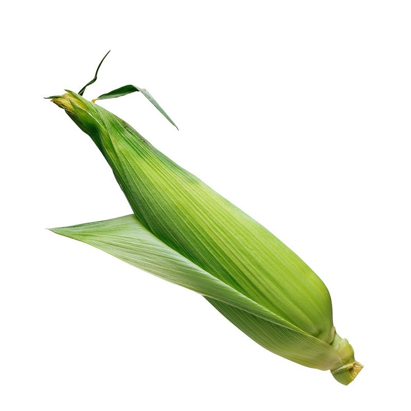 Jagung Manis Kulit