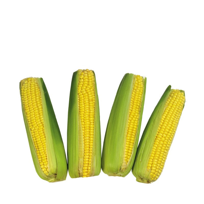 Jagung Manis Kulit
