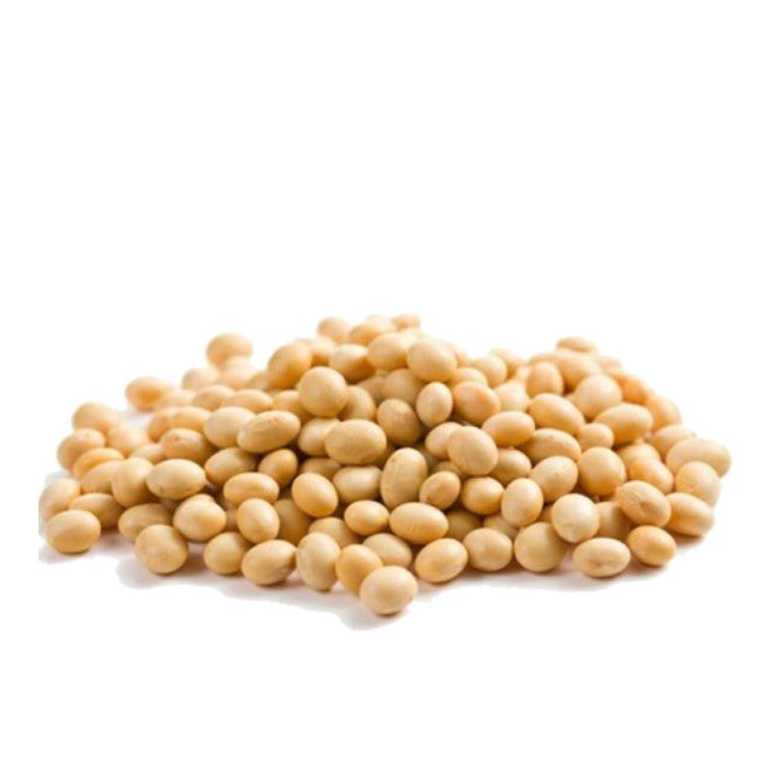 Kacang Kedelai