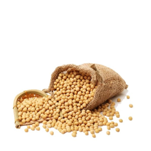 Kacang Kedelai