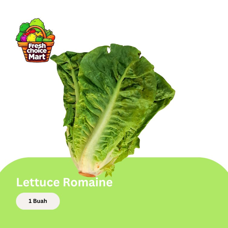 Lettuce romaine
