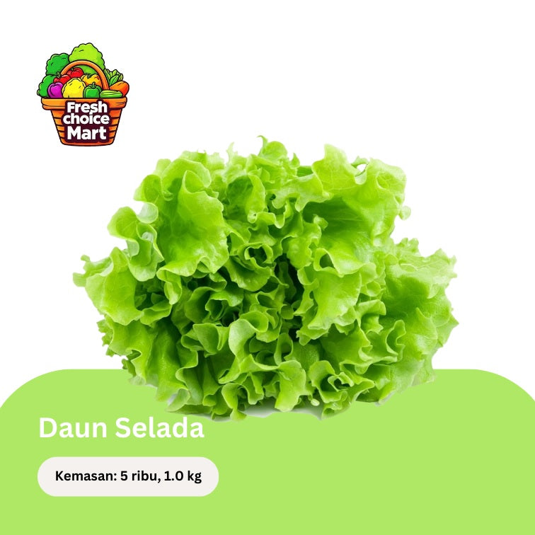Selada Kriting