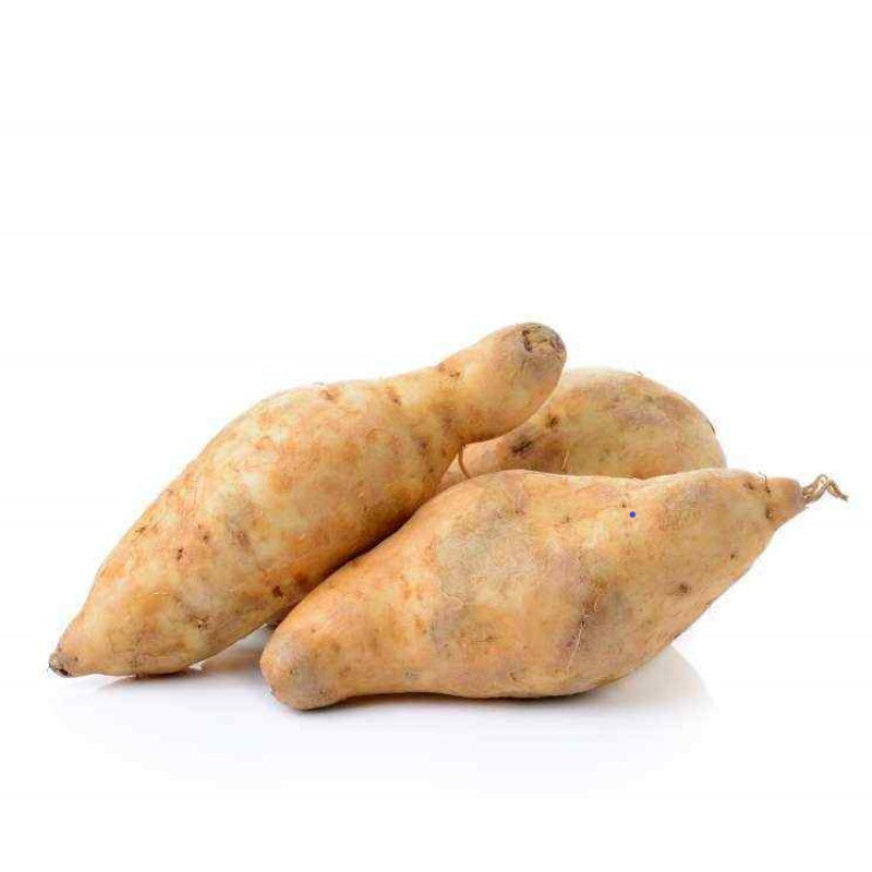 Ubi Cilembu