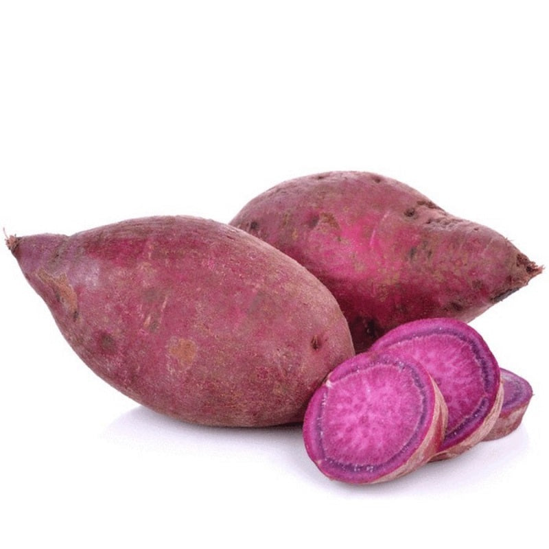 Ubi Ungu